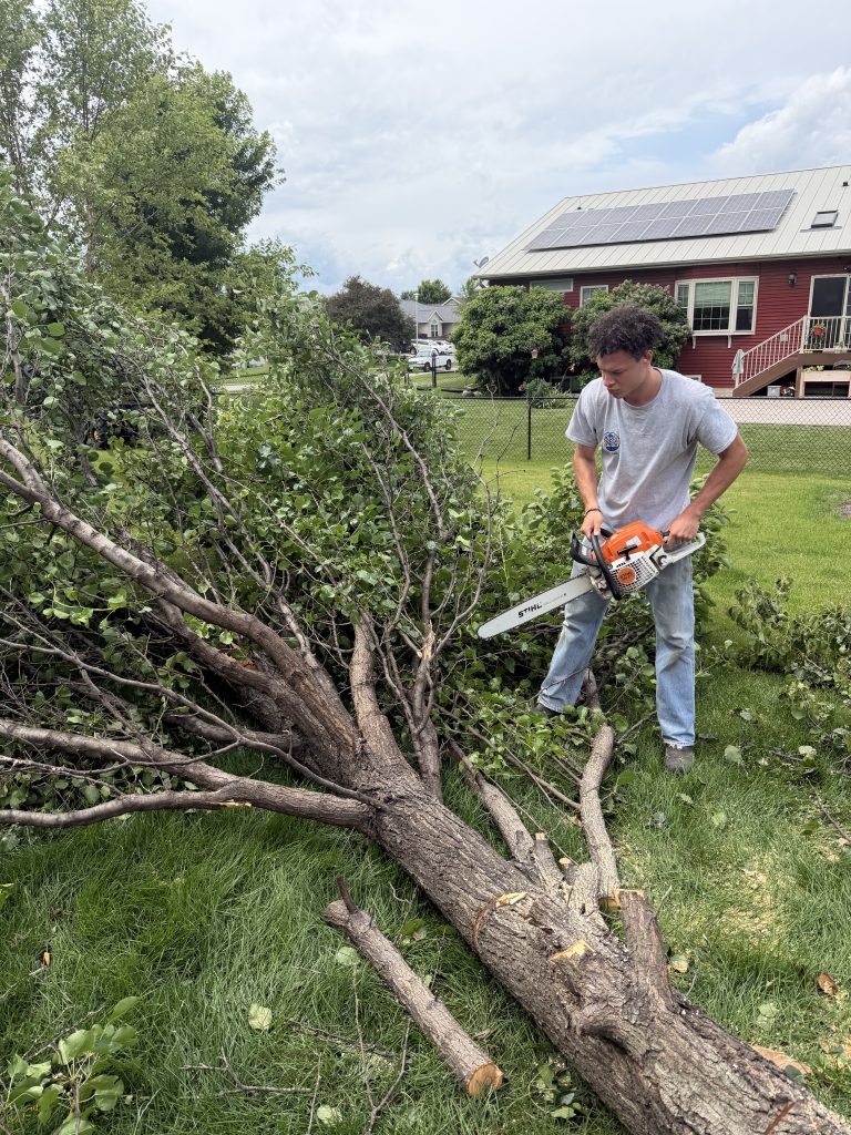 OddJobs crew removing a tree in North Liberty