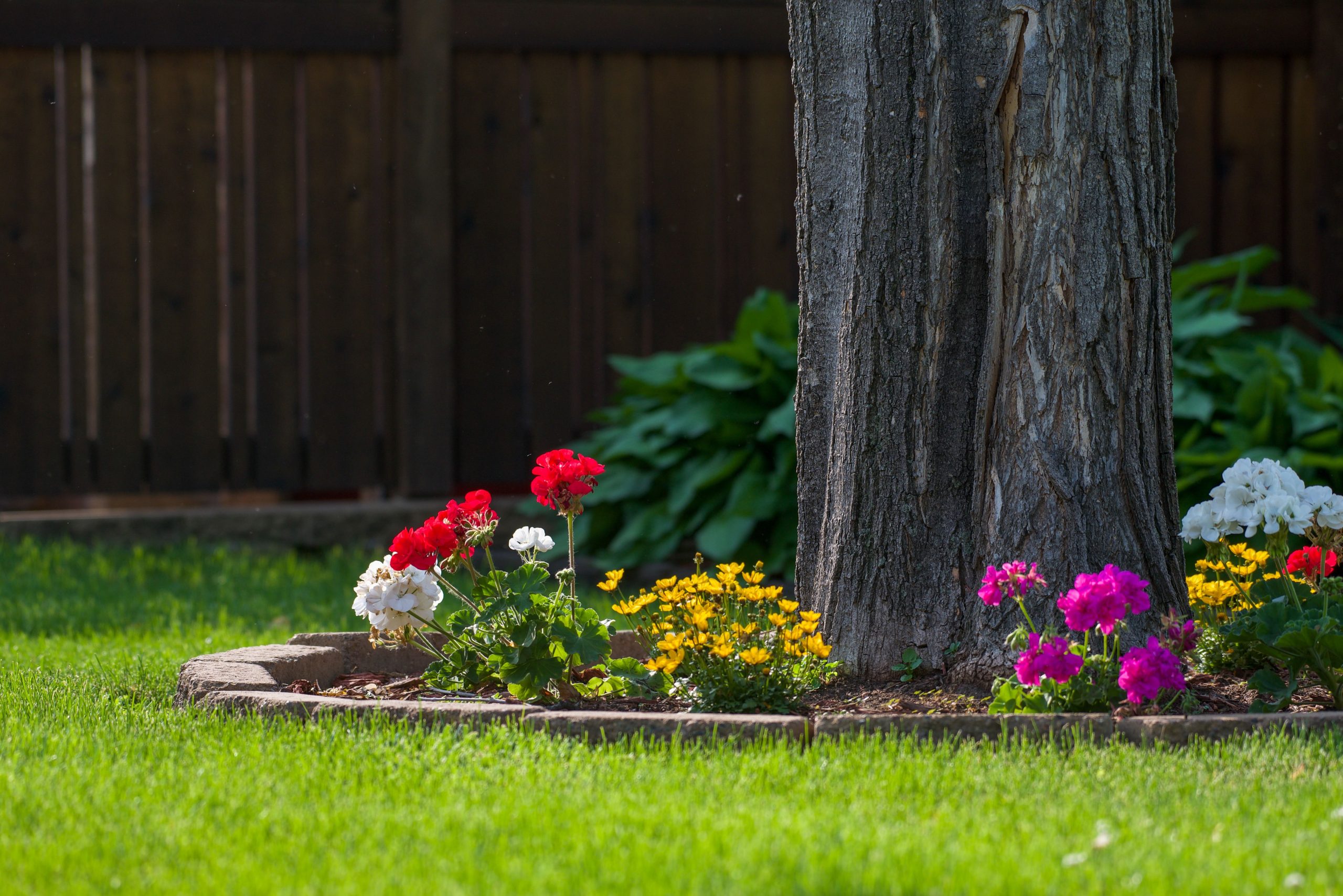 Clean landscape edging separating a garden bed from a lawn at an Iowa City home